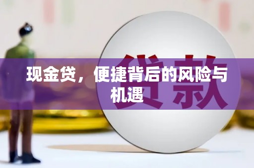 麟游现金贷，便捷背后的风险与机遇