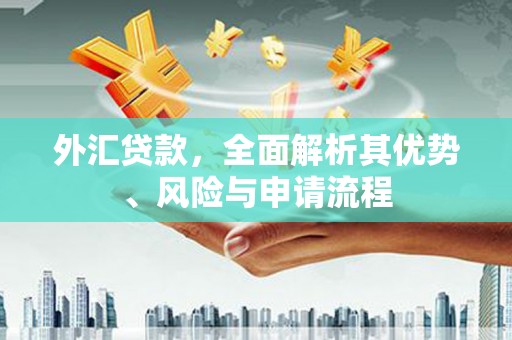 麟游外汇贷款，全面解析其优势、风险与申请流程