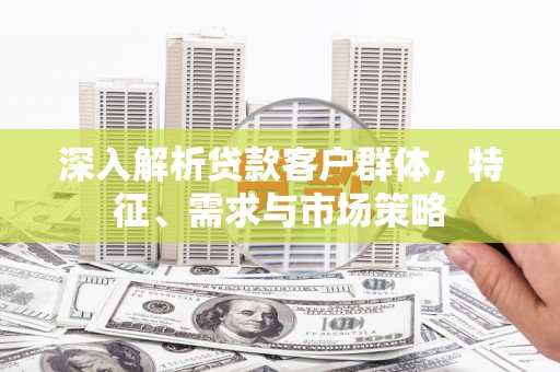 麟游深入解析贷款客户群体，特征、需求与市场策略