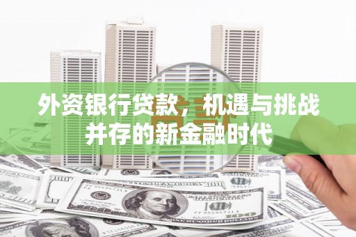 麟游外资银行贷款，机遇与挑战并存的新金融时代