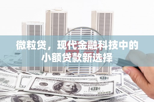 麟游微粒贷，现代金融科技中的小额贷款新选择