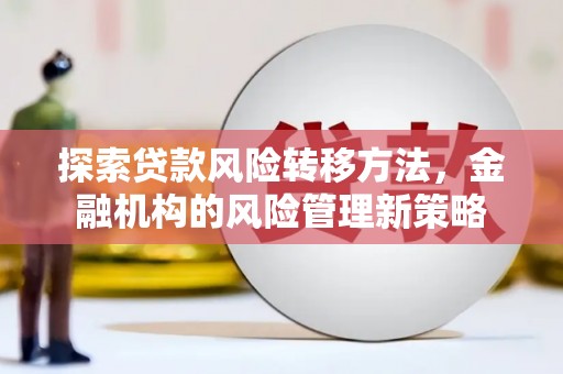 麟游探索贷款风险转移方法，金融机构的风险管理新策略