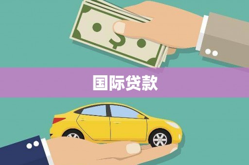 麟游国际贷款