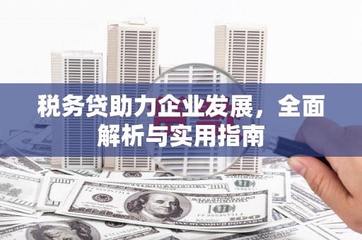 麟游税务贷助力企业发展，全面解析与实用指南