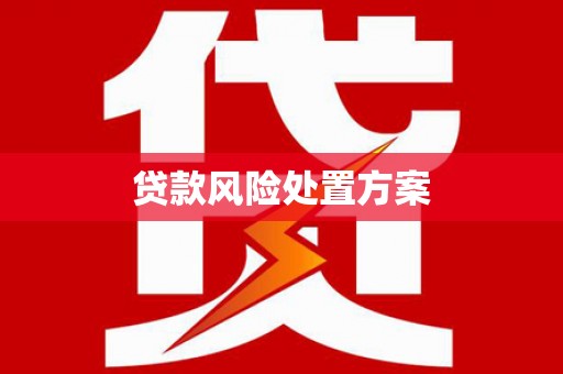 麟游贷款风险处置方案