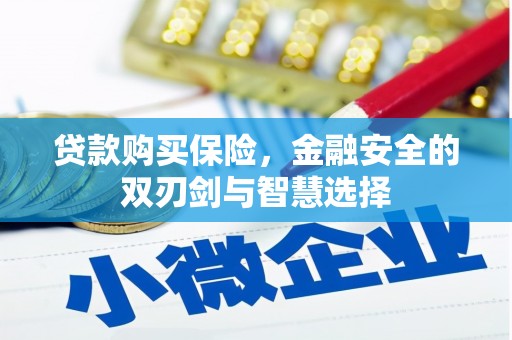 麟游贷款购买保险，金融安全的双刃剑与智慧选择