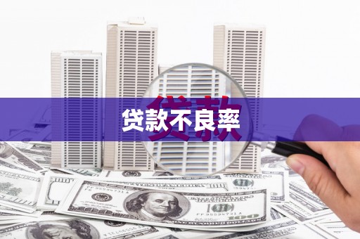 麟游贷款不良率