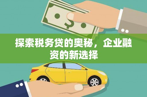 麟游探索税务贷的奥秘，企业融资的新选择
