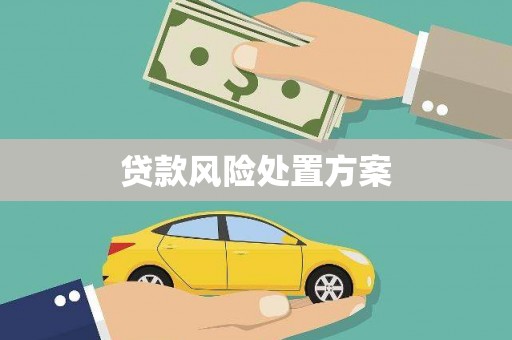 麟游贷款风险处置方案