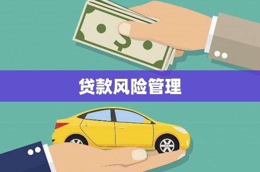 麟游贷款风险管理