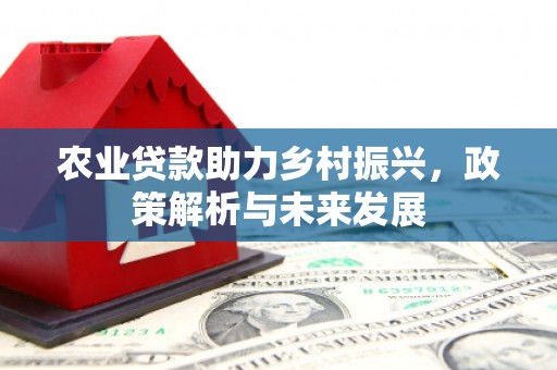 麟游农业贷款助力乡村振兴，政策解析与未来发展