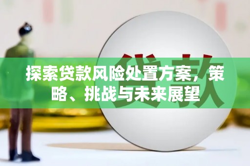 麟游探索贷款风险处置方案，策略、挑战与未来展望