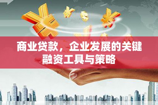 麟游商业贷款，企业发展的关键融资工具与策略