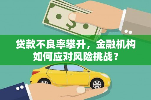 麟游贷款不良率攀升，金融机构如何应对风险挑战？