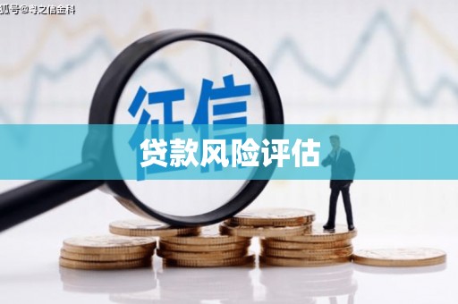 麟游贷款风险评估