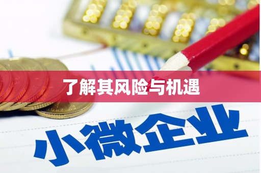 麟游了解其风险与机遇