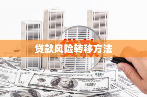 麟游贷款风险转移方法