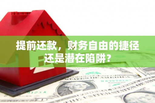 麟游提前还款，财务自由的捷径还是潜在陷阱？
