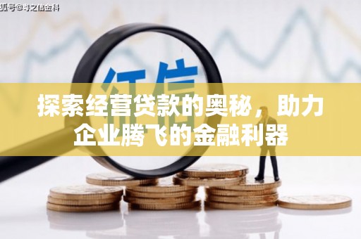 麟游探索经营贷款的奥秘，助力企业腾飞的金融利器