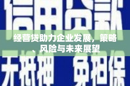 麟游经营贷助力企业发展，策略、风险与未来展望