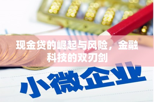 麟游现金贷的崛起与风险，金融科技的双刃剑