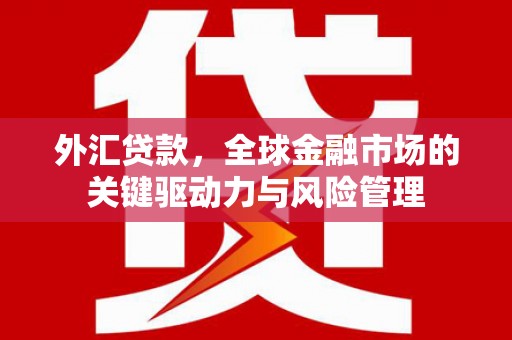 麟游外汇贷款，全球金融市场的关键驱动力与风险管理
