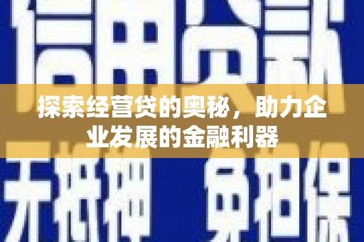 麟游探索经营贷的奥秘，助力企业发展的金融利器
