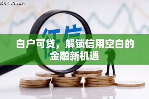 麟游白户可贷，解锁信用空白的金融新机遇
