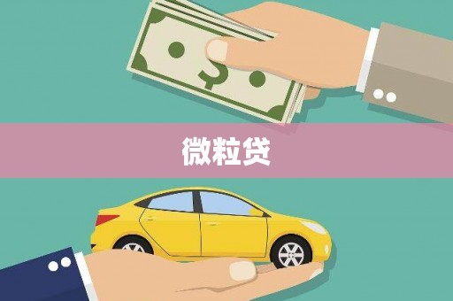 麟游微粒贷