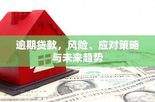 麟游逾期贷款，风险、应对策略与未来趋势