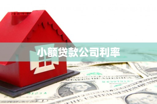 麟游小额贷款公司利率