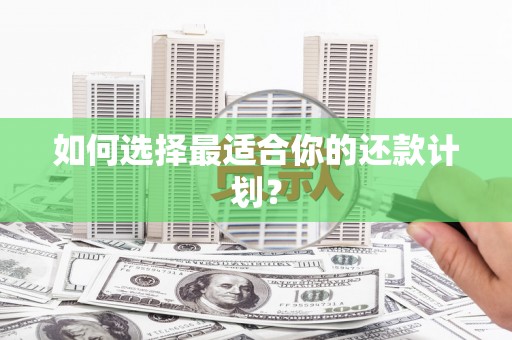 麟游如何选择最适合你的还款计划？