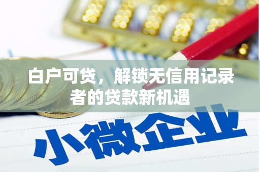麟游白户可贷，解锁无信用记录者的贷款新机遇