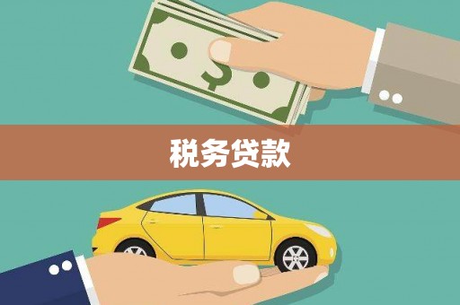 麟游税务贷款