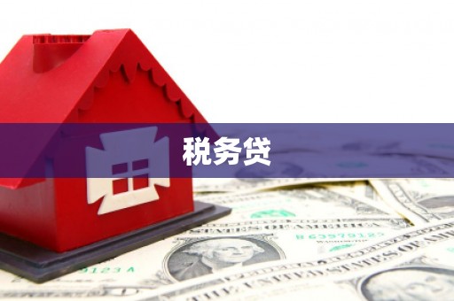 麟游税务贷