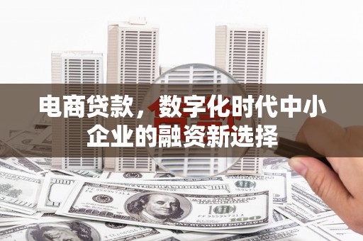 麟游电商贷款，数字化时代中小企业的融资新选择