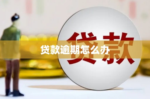 麟游贷款逾期怎么办