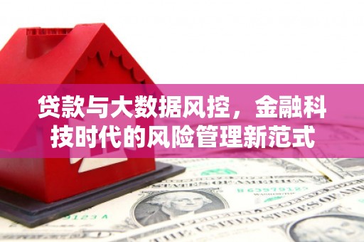 麟游贷款与大数据风控，金融科技时代的风险管理新范式