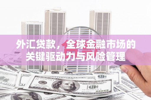 麟游外汇贷款，全球金融市场的关键驱动力与风险管理