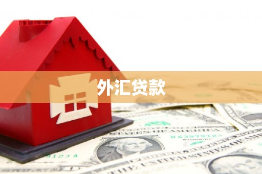 麟游外汇贷款