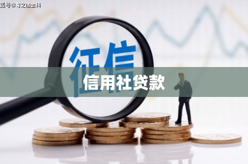 麟游信用社贷款