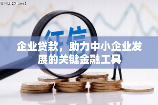 麟游企业贷款，助力中小企业发展的关键金融工具