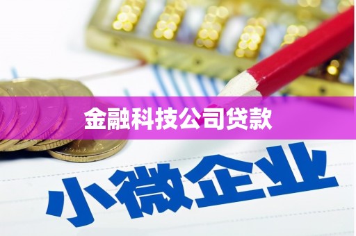 麟游金融科技公司贷款
