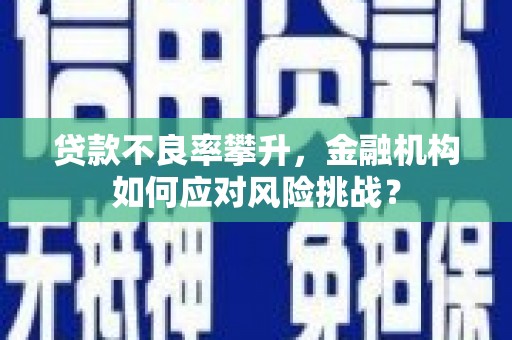 麟游贷款不良率攀升，金融机构如何应对风险挑战？