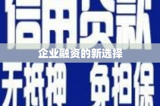 麟游企业融资的新选择