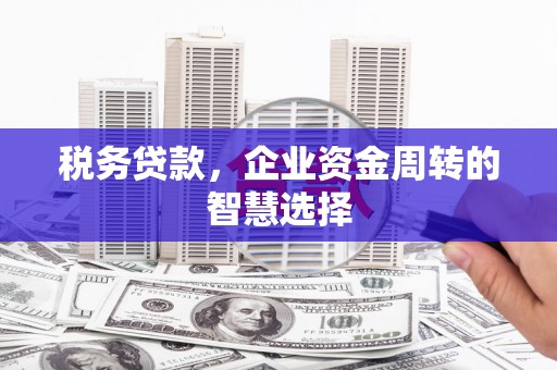 麟游税务贷款，企业资金周转的智慧选择