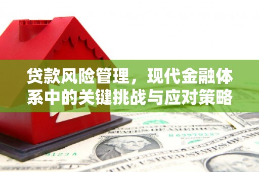 麟游贷款风险管理，现代金融体系中的关键挑战与应对策略