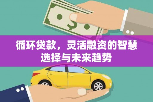 麟游循环贷款，灵活融资的智慧选择与未来趋势