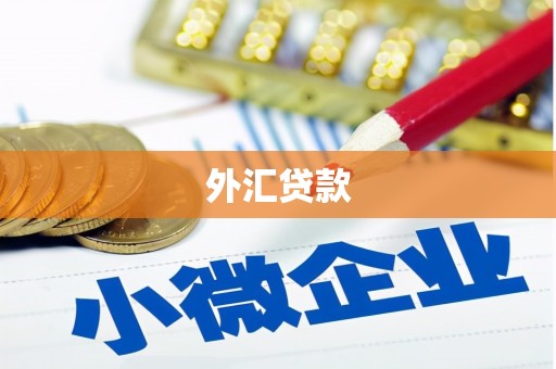 麟游外汇贷款