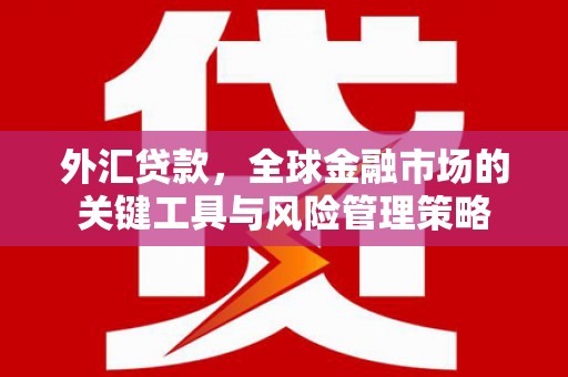 麟游外汇贷款，全球金融市场的关键工具与风险管理策略